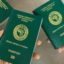 International-passport-Ochidoz-Ltd