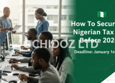 How To Secure Your Nigerian Tax ID (TIN) Before 2026- Ochidoz Ltd