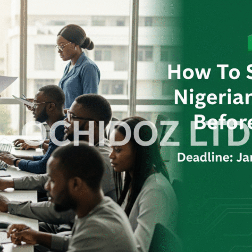 How To Secure Your Nigerian Tax ID (TIN) Before 2026- Ochidoz Ltd